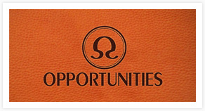 logo opportunities